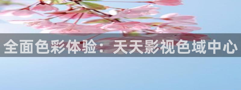 电影天堂神马影院