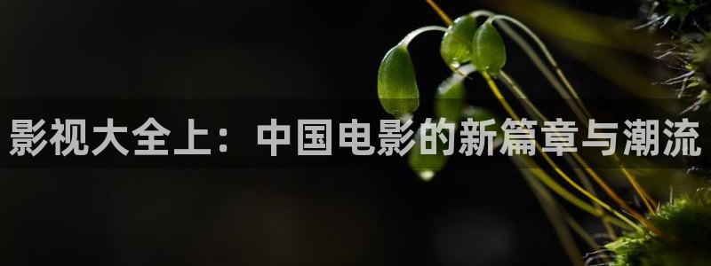 欧美av电影天堂